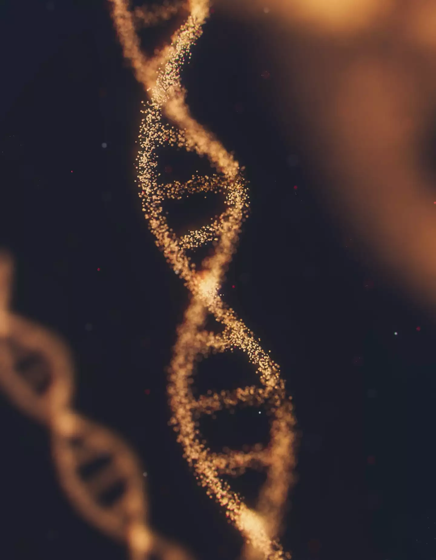 基因編輯為人類存續帶來曙光，但眼前有哪些挑戰？