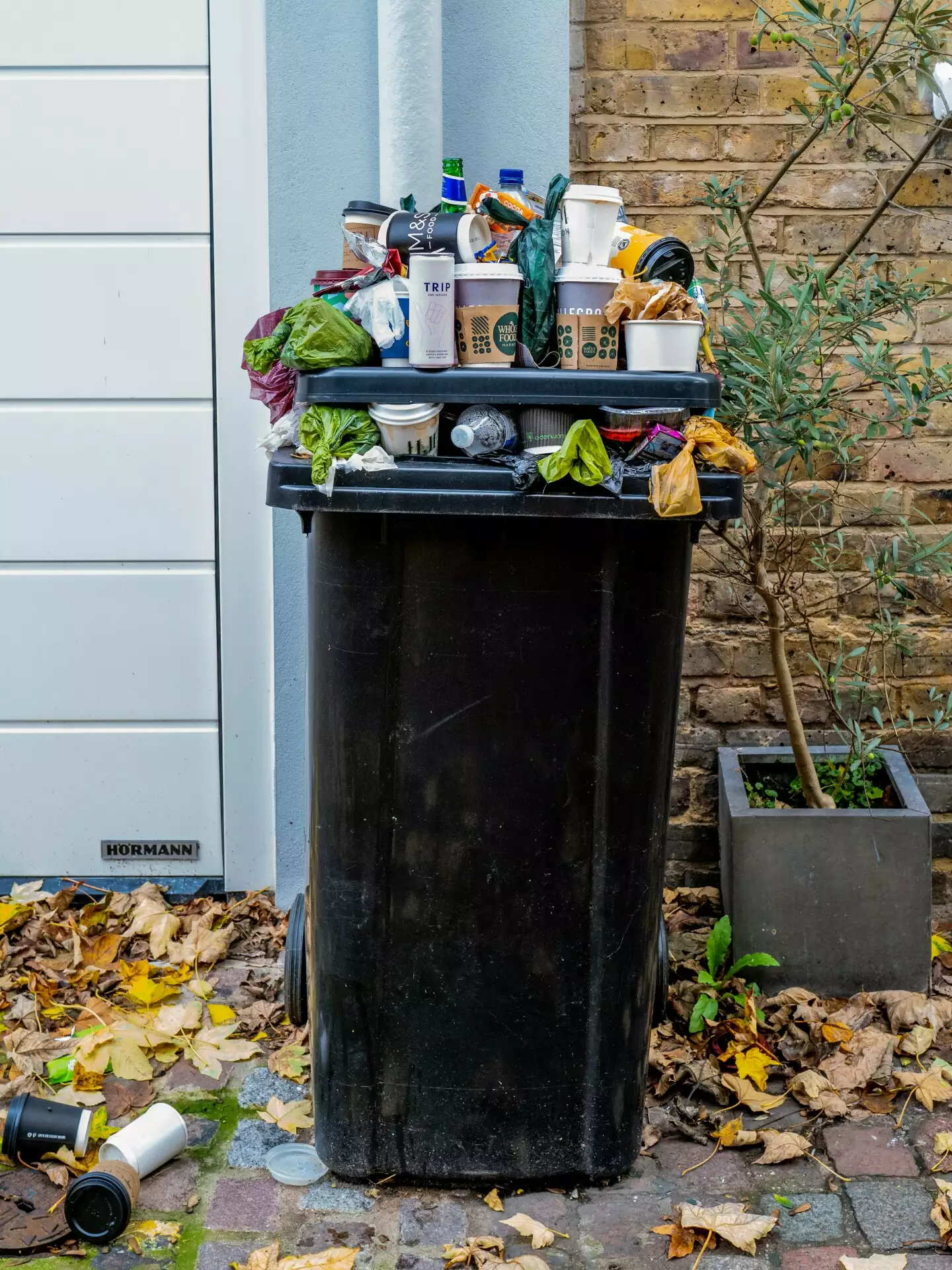 不想追垃圾車？新創如何簡化收垃圾、達到垃圾減量？