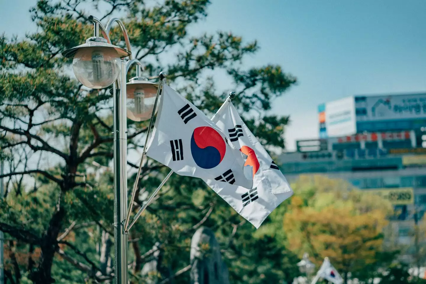 不計成本投資的韓國，如何在美中對抗下求生存？