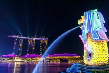 How did start-ups drive Singapore to become a prime spot for talent and investment under the Indo-Pacific framework?