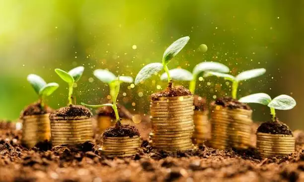 當金流成永續關鍵力，中小企業如何善用綠色金融助力？