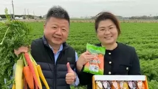 種下紅蘿蔔夢田，VDS 活力東勢創造台灣農業驕傲